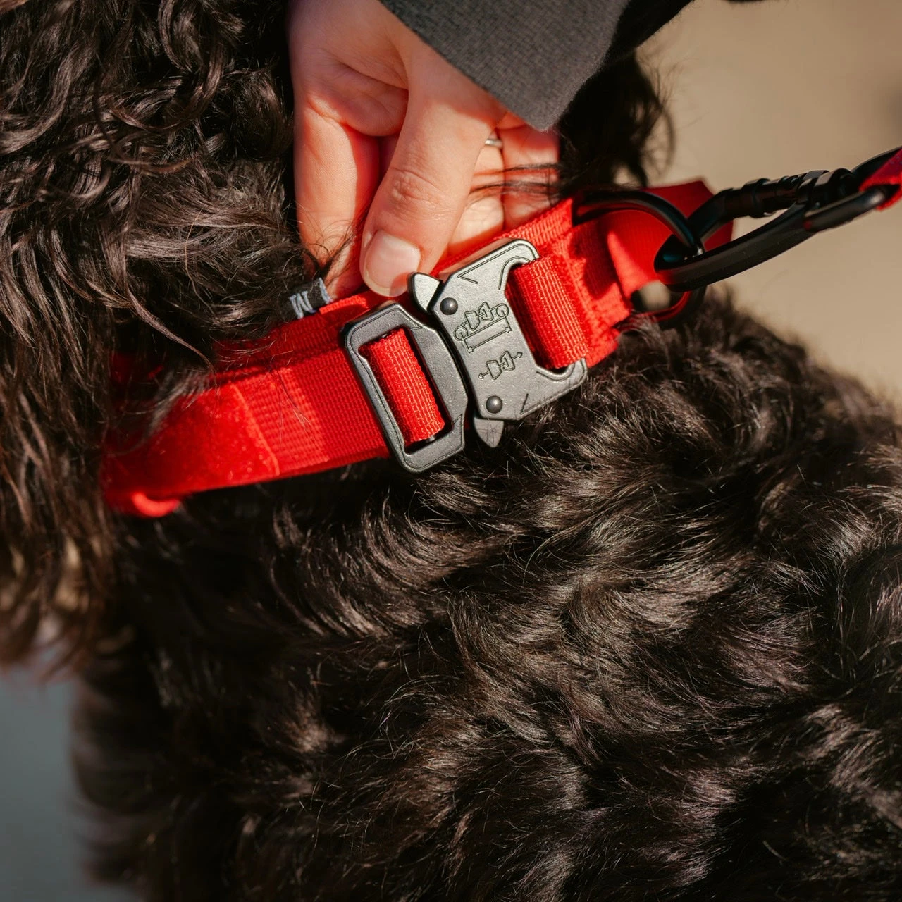 Tactical Nylon Dog Collar Elite Red 3 Tactical Nylon Dog Collar Elite Red - Image 3