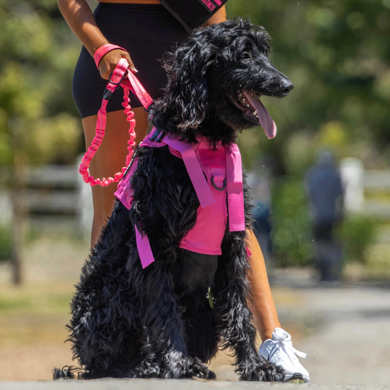 Pink Goddess Tactical Dog Vest Harness 4 Pink Goddess Tactical Dog Vest Harness - Image 4