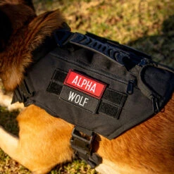 Alpha Black Tactical Dog Vest Harness -Fashion bags 10CD99EB 4B52 475C 8E8D CD030EC51361