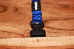 Adjustable Nylon Dog Collar Champion Blue -Fashion bags 2684146E FEF5 49F0 88FA DCB8CA575C09