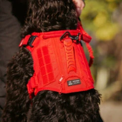 Elite Red Tactical Dog Vest Harness -Fashion bags 3136202E E480 461D 98A5 C0E3C449D82A