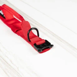 Tactical Nylon Dog Collar Elite Red 14 Tactical Nylon Dog Collar Elite Red -Fashion bags 45F48F83 F669 4028 BDA3 26952D0FAACE