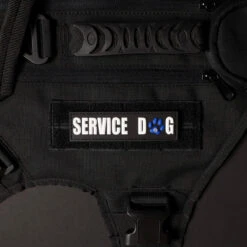 Service Dog W/ Blue Paw