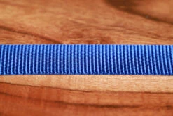 Adjustable Nylon Dog Collar Champion Blue -Fashion bags 6E7134D5 EFC2 4FB4 A796 006F762B3AD2