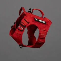 Elite Red Tactical Dog Vest Harness -Fashion bags 784E1EE1 14D7 46B3 A2F0 BE8F2AFB988E