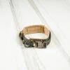 Tactical Nylon Dog Collar Camo