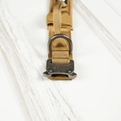 Tactical Nylon Dog Collar Khaki 10 Tactical Nylon Dog Collar Khaki -Fashion bags 8DB9E3FF 4DC1 48AE A48D 4510BCF99811