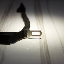 Dog Seat Belt Nylon Black Leash -Fashion bags A23895BC CAFA 425A BF8B 178E906EB7AB