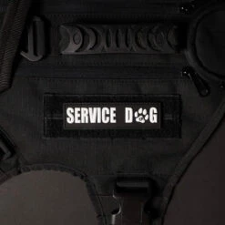 Service Dog White Paw