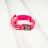 Tactical Nylon Dog Collar Pink Goddess
