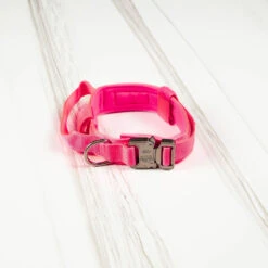 Tactical Nylon Dog Collar Pink Goddess