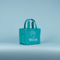 Mini Tote Bag Aqua Goddess -Fashion bags Minitotes5.3.24 142